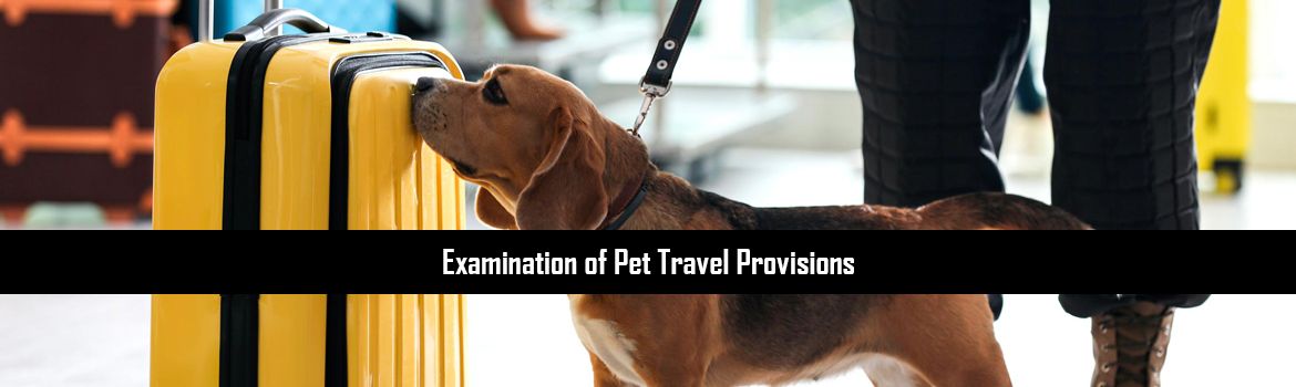 Examination of Pet Travel Provisions